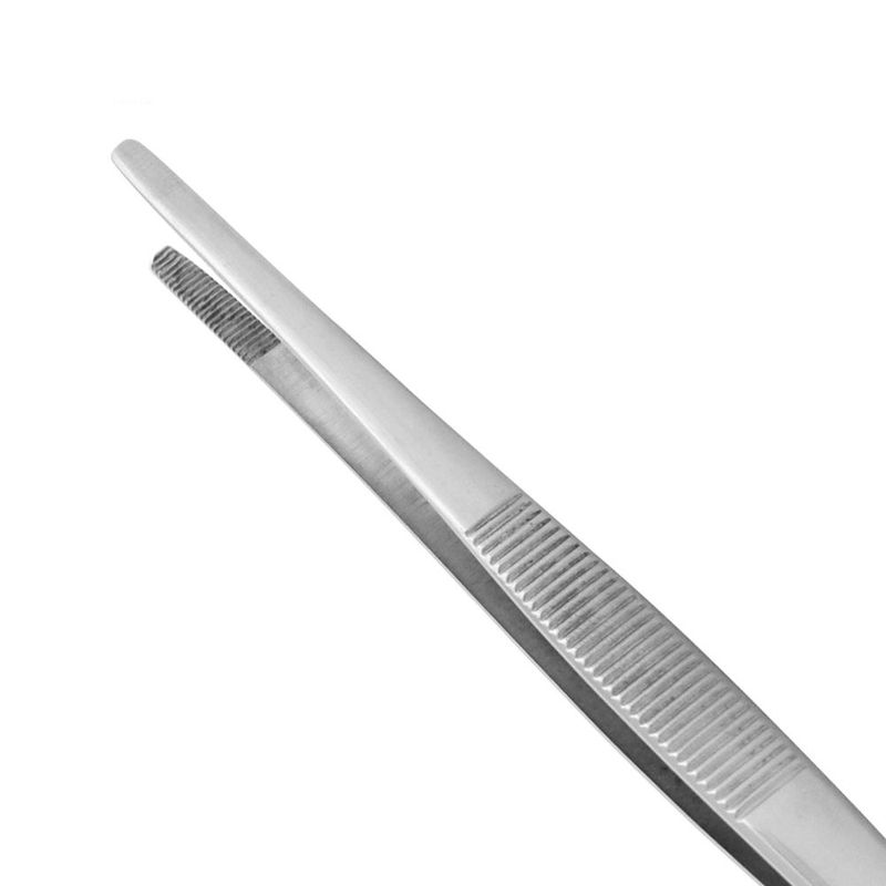 Pinca-Anatomica-Disseccao-14-cm