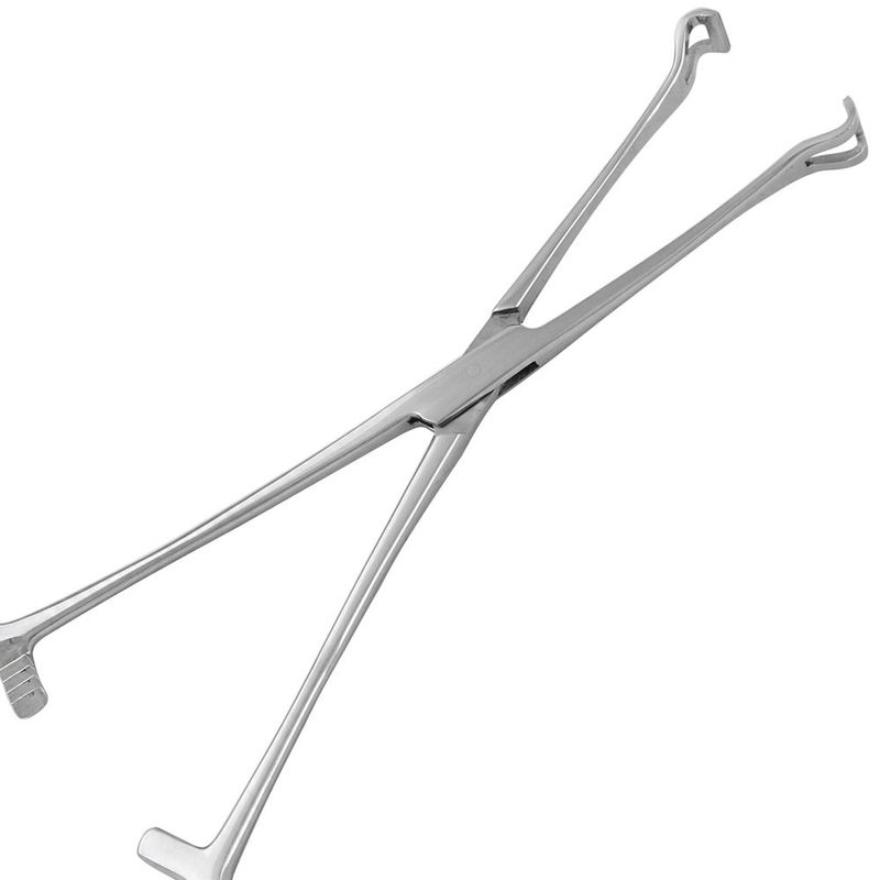 Pinca-Babcock-20cm