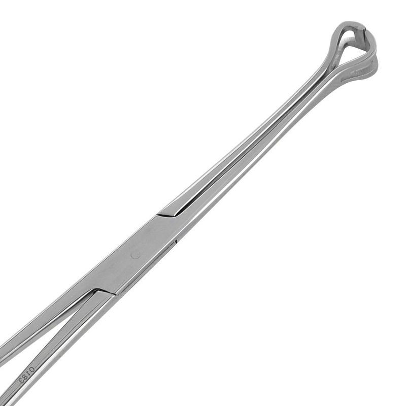 Pinca-Babcock-20cm