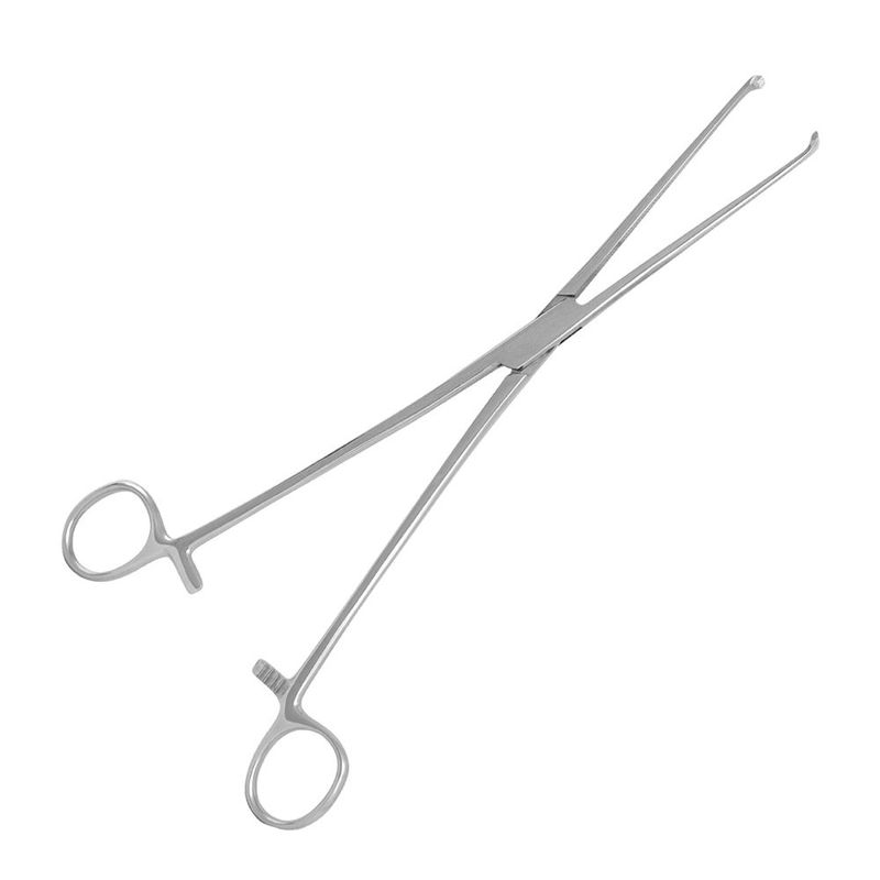 Pinca-Allis-18cm