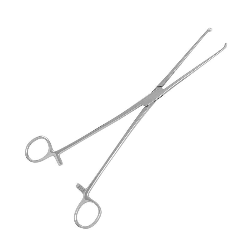 Pinca-Allis-15cm