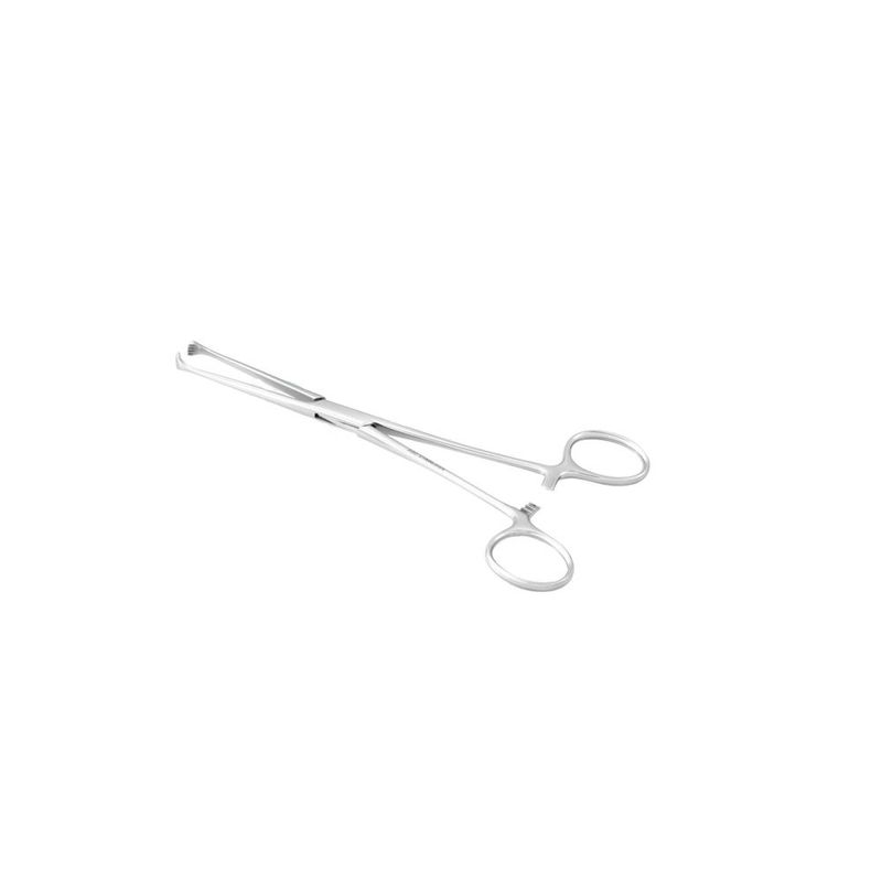 Pinca-Allis-Baby-12cm